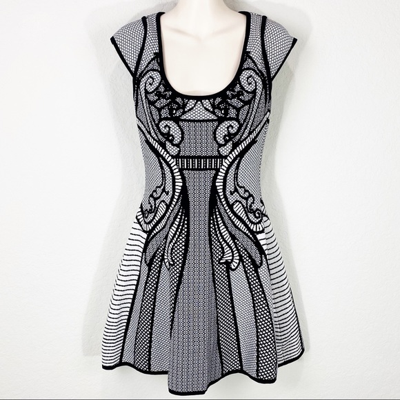 bodycon fit and flare dress